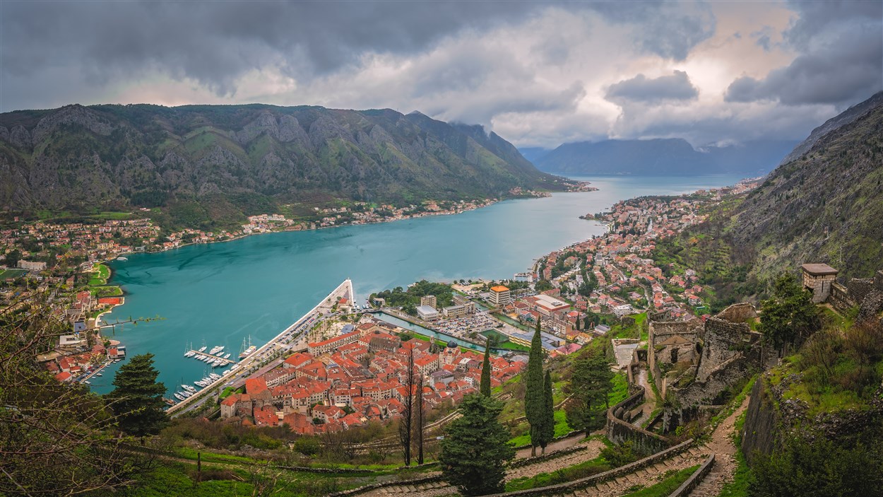 Studielandsguide Montenegro